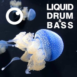 Fokuz Recordings