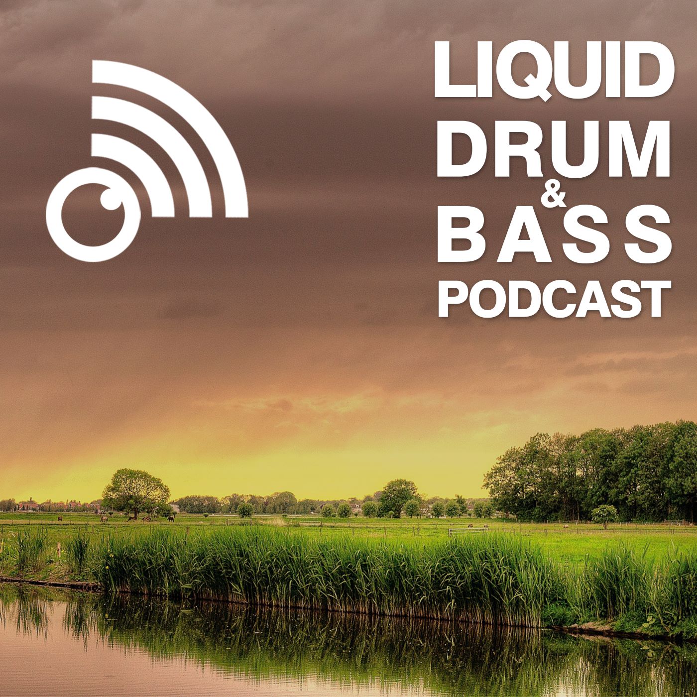 Fokuz Recordings Podcasts [Liquid Drum and Bass]