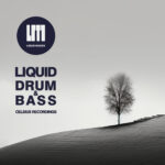 Celsius Recordings Podcast [Liquid Drum & Bass]
