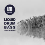 Celsius Recordings Podcast [Liquid Drum & Bass]